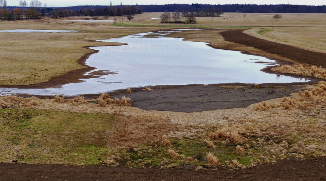 Es ist konstant Wasser in das ausgeweitete Feuchtgebiet geflossen, die Fläche entwickelt sich wie geplant (Quelle: NABU Hambrücken)