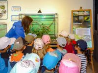 Amphibienausstellung mit lebenden Tieren
