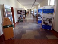 Ausstellung mit Holzelementen im Rathaus Worms