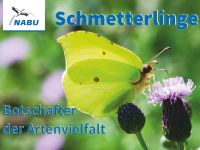 Buch von Wolfgang Düring: „Schmetterlinge – Botschafter der Artenvielfalt“