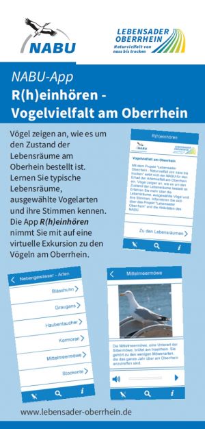 NABU-App R(h)einhören - Vogelvielfalt am Oberrhein