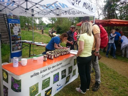 Aktionsstand mit Samenbar