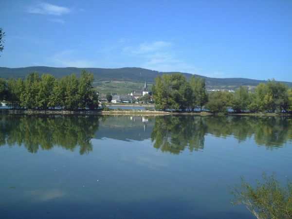 Blick auf Östrich-Winkel (Foto: NABU RLP)