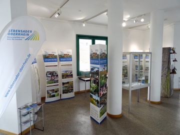 Ausstellung in Bodenheim