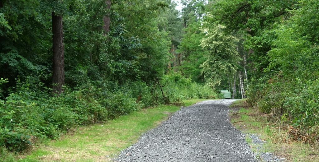 "Alter Postweg" ist saniert (Quelle: NABU/A. Jendrysik)