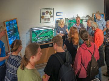 Amphibienausstellung „Amphibien – Botschafter der Artenvielfalt am Oberrhein“ im Umweltbildungszentrum Schatzinsel Kühkopf (UBZ)