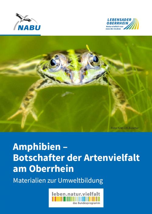Amphibien-Broschüre