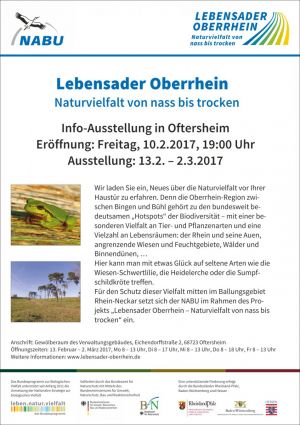 Info-Ausstellung im Gewölberaum in Oftersheim