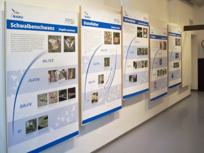 PVC-Banner zur Ausstellung „Schmetterlinge“ des Projekts „Lebensader Oberrhein“