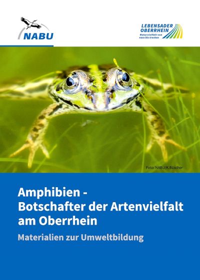 Titelseite „Amphibien - Botschafter der Artenvielfalt, Materialien zur Umweltbildung“