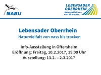 Info-Ausstellung im Gewölberaum in Oftersheim