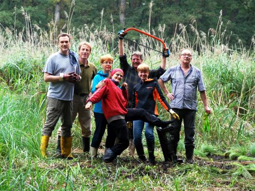 Mitglieder des NABU Neustadt und Biodiversitätsbotschafter bringen die selbst vermehrten Wunderseggen zur Bestandsförderung im Projektgebiet aus.