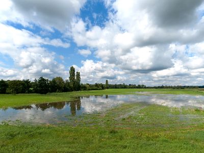 Das Schutzgebiet Saalbachniederung nordwestlich von Bruchsal (Quelle: NABU Hambrücken).