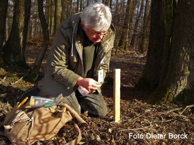 Biodiversitätsbotschafter Dieter Borck im Einsatz für Wildkatzen