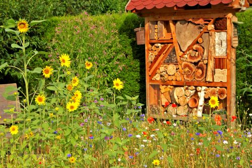 Insektenhotel mit Blumenwiese (Foto: Willi Mayer, NABU-Netz)