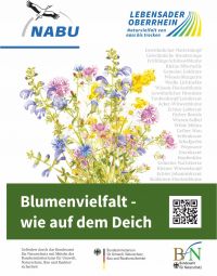 Samentütchen „Blumen­viel­falt - wie auf dem Deich“