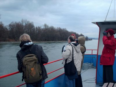 Schiffexkursion entlang des Inselrheins