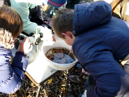 Naturschutz-AG (Foto: NAZKA)