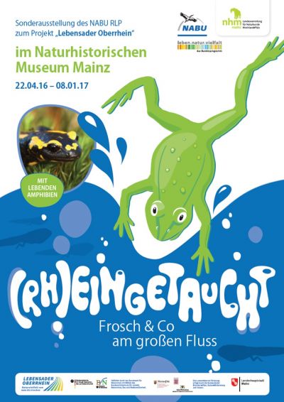 Plakat „(Rh)ein­ge­taucht! Frosch und Co. am großen Fluss“