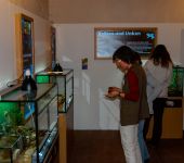 Erlebnisausstellung im Naturhistorischen Museum in Mainz