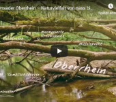 Video-Clips - Lebensader-Oberrhein