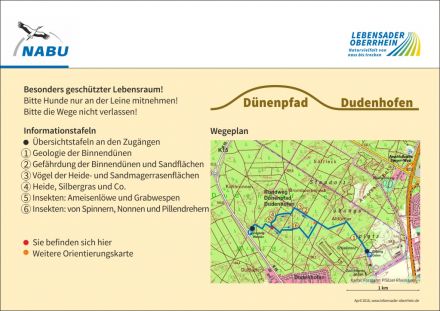 Lageplan zum Dünenpfad Dudenhofen